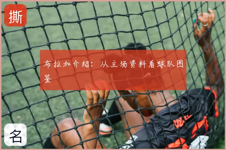 布拉加介绍：从主场资料看球队图鉴