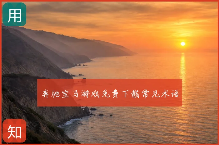 奔驰宝马游戏免费下载常见术语